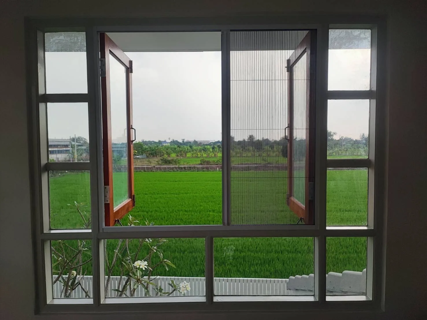 LINE_ALBUM_มุ้งจีบ_260409_1